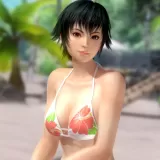 DOA5LR Last Getaway Pai (English/Chinese/Korean/Japanese Ver.)