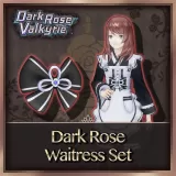 Dark Rose Waitress Set