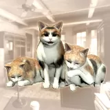 Rental Cat Pack A (Chinese Ver.)