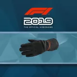 F1 2019: Gloves 