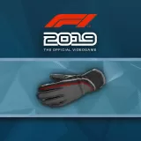 F1 2019: Gloves 