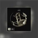 This Time - Kayzo