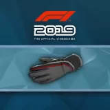F1 2019: Gloves 