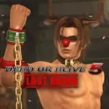 Dead OR Alive 5 Last Round Ein Christmas Costume