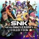 Snk 40th Anniversary Collection
