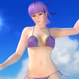 Ayane Paradise Sexy DOA5+ (English/Chinese/Korean/Japanese Ver.)