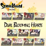 Senran Kagura Estival Versus — Dual Blooming Hearts