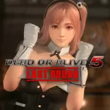 DOA5LR Sexy Bunny Honoka