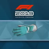 F1 2019: Gloves 