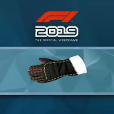 F1 2019: Gloves 