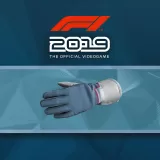 F1 2019: Gloves 
