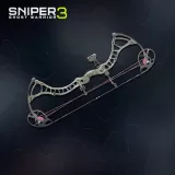 Compound Bow