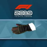 F1 2019: Gloves 