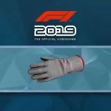F1 2019: Gloves 