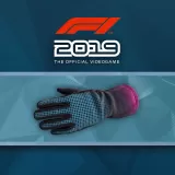 F1 2019: Gloves 