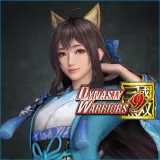 Dynasty Warriors 9: Xin Xianying (Special Costume)