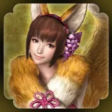 Special costume - Oichi (Japanese Ver.)