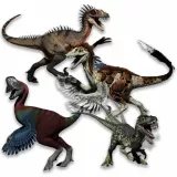 Raptor Pack 03
