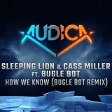 Audica: "How We Know (Bugle Bot Remix)" - Sleeping Lion & Cass Miller ft. Bugle Bot