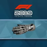 F1 2019: Gloves 