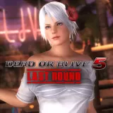 DOA5LR Hot Summer Christie Costume