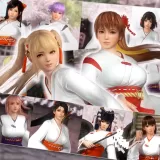 DOA5LR Shrine Maiden Costume Set