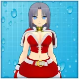 Fluffy Santa