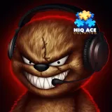 HiQ Ace Unlimited LVL - Teddy the Gamer Avatar Bundle