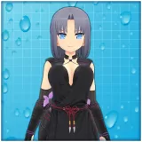 Ayane's Ninja costume