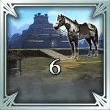 New Stage 6