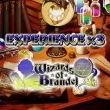 Experience x3 - Wizards of Brandel