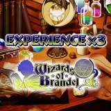 Experience x3 - Wizards of Brandel