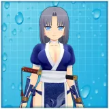 Kasumi's Outfit