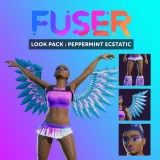 Look Pack: Peppermint Ecstatic