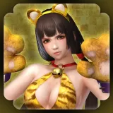 Special Costume 2: Naotora Ii