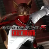 DOA5LR Ryu Hayabusa Halloween Costume 2015