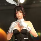 DOA5LR Sexy Bunny - Naotora Ii