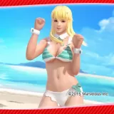 「Senran Kagura」 2nd Collaboration Swimsuit (Hitomi)