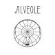 Alveole