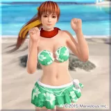 "Senran Kagura" 2nd Collaboration Swimsuit (Kasumi)