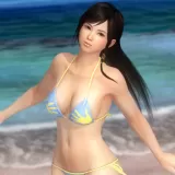 【引継用】こころ パラダイスセクシーコスチューム(DOA5+)