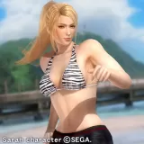 【引継用】サラ パラダイスセクシーコスチューム(DOA5+)