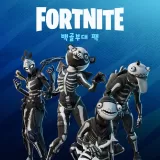 Fortnite - Skull Squad Pack