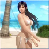 Kokoro License (PS4)