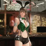 ［Revival］DOA6 Sexy Bunny Costume - Hitomi