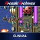 Arcade Archives Gunnail
