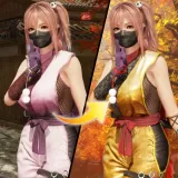 DOA6 変身！Ninjaコスチューム ほのか