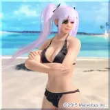 "Senran Kagura" 2nd Collaboration Swimsuit (Ayane)