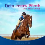 Dein erstes Pferd: Die Reitschule