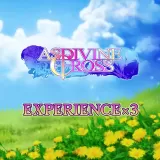 Experience x3 - Asdivine Cross